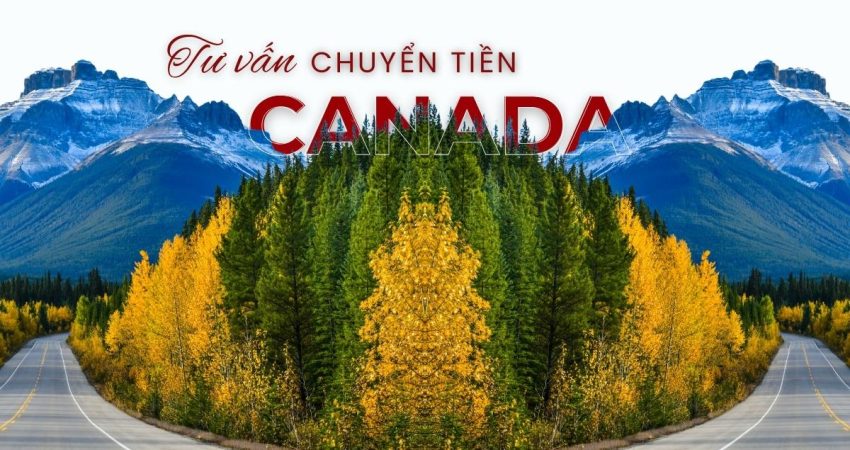 Tư vấn chuyển tiền sang Canada